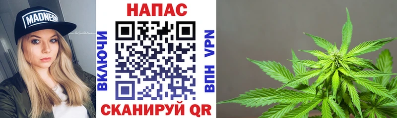Конопля ГИДРОПОН  Тарко-Сале 